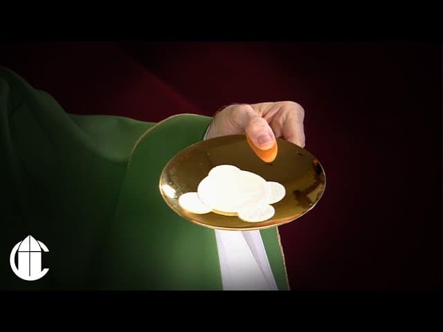 Catholic Mass Today: 10/5/25 | Twenty-Seventh Sunday in Ordinary Time ...