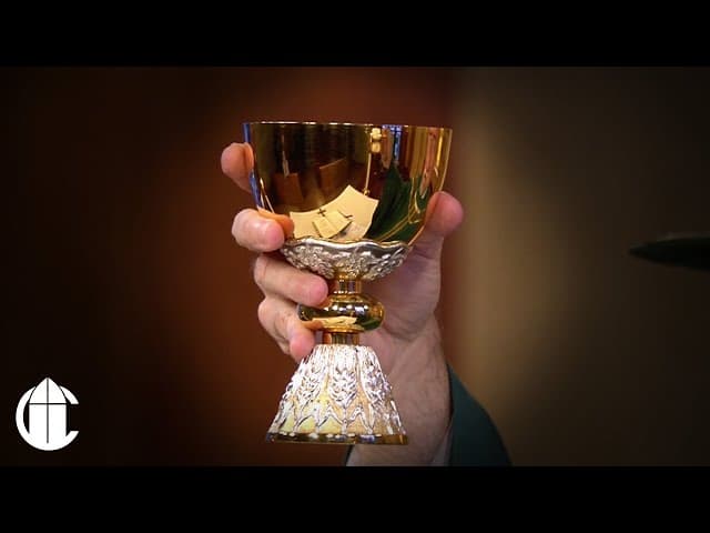 Catholic Mass Today: 10/5/25 | Twenty-Seventh Sunday in Ordinary Time ...