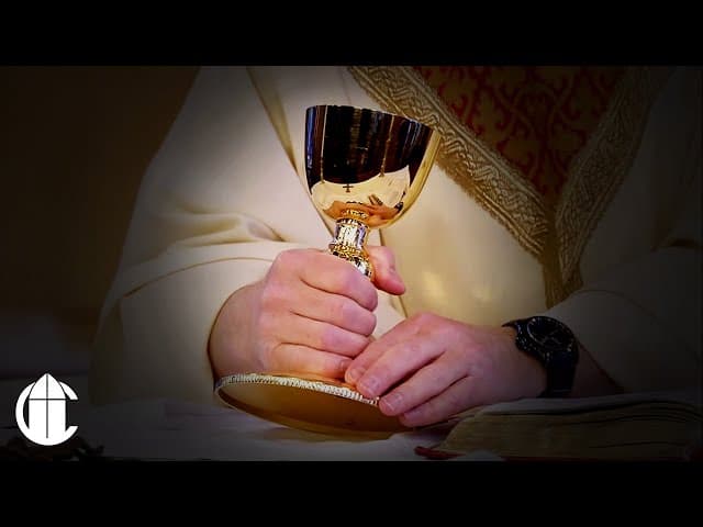 The CatholicTV Network | Christendom