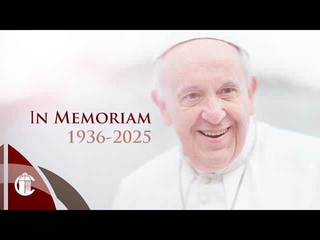 The CatholicTV Network | Christendom