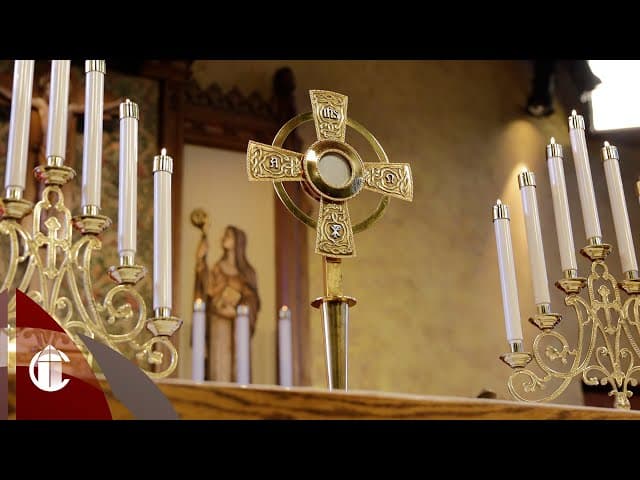 Catholic Mass Today: 10/5/25 | Twenty-Seventh Sunday in Ordinary Time ...