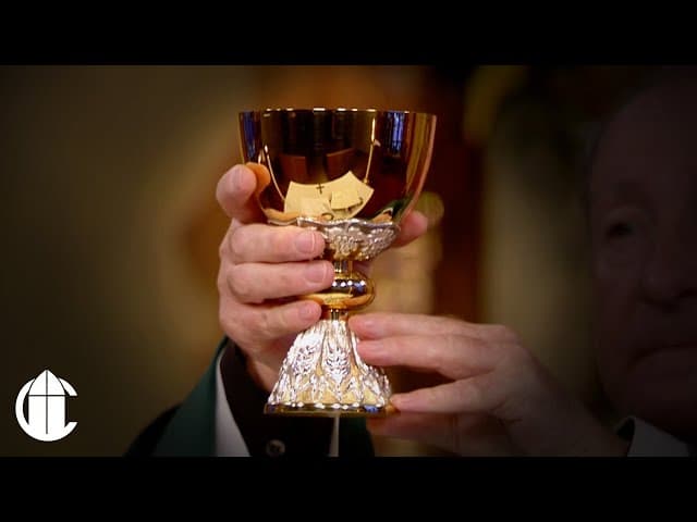 Catholic Mass Today: 10/5/25 | Twenty-Seventh Sunday in Ordinary Time ...